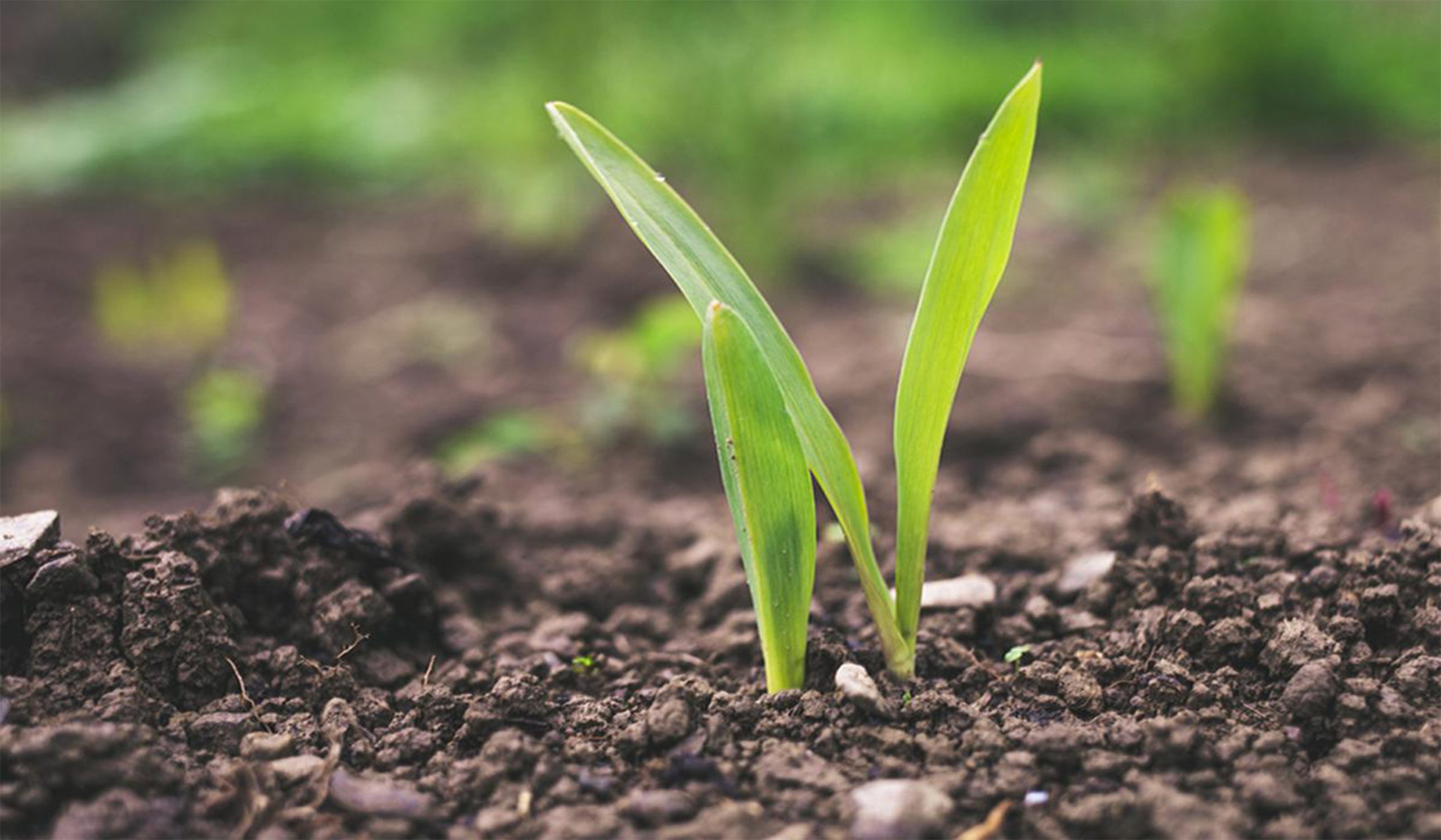 Formation en agroécologie