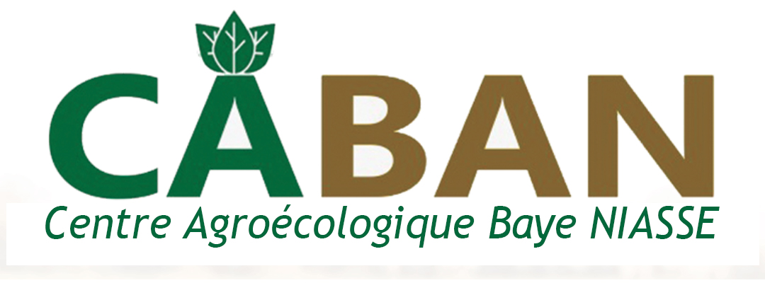 Centre agroécologique Baye Niass